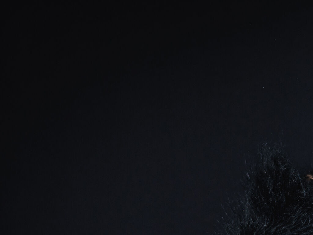 Laurentbarry's profile - Image n°1