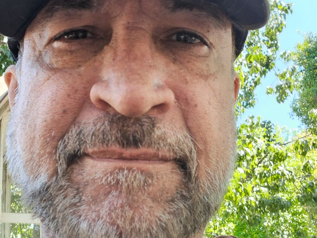 Leoncarpita's profile - Image n°1