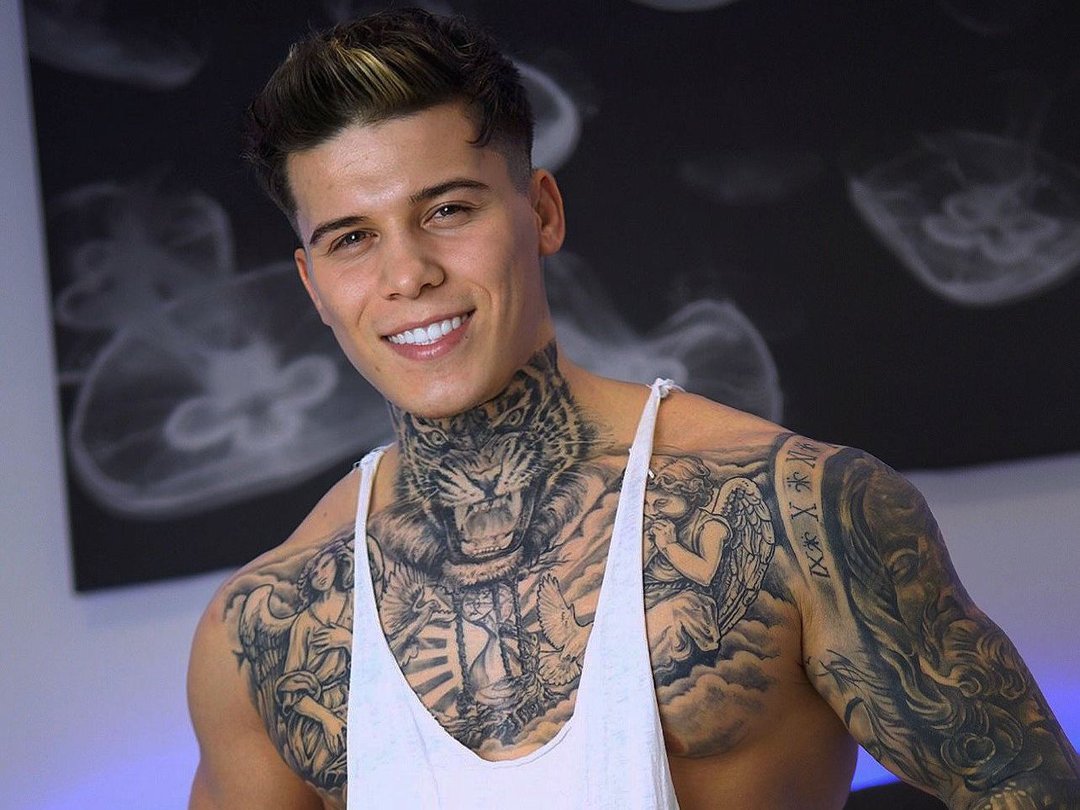 Perfil con Lewismuscllee - Imagen  n°1