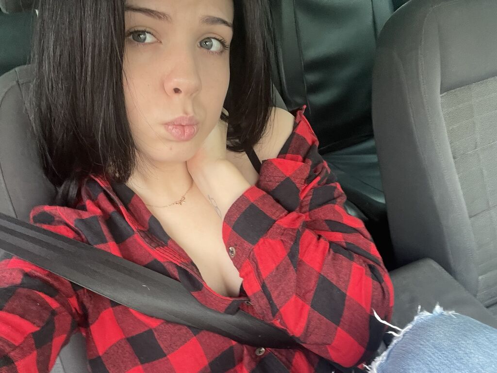 Perfil con Lexistain - Imagen  n°1