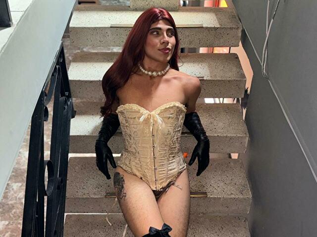 Perfil con Liacollins - Imagen  n°2