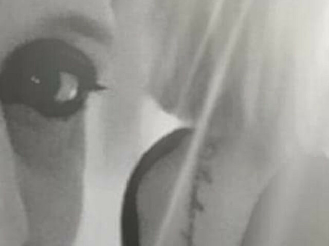 Lilie6969's profile - Image n°1