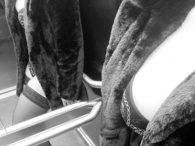 Linbl's profile - Image n°2