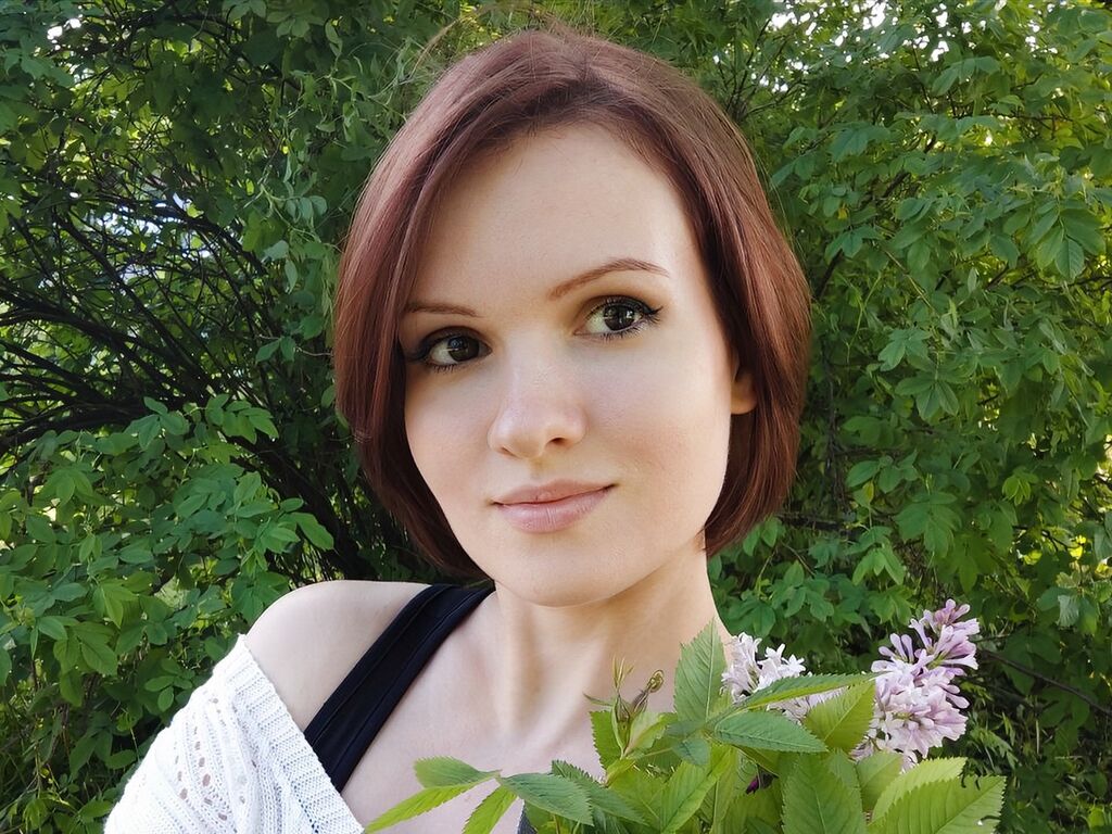 Perfil con litisa - Imagen  n°1