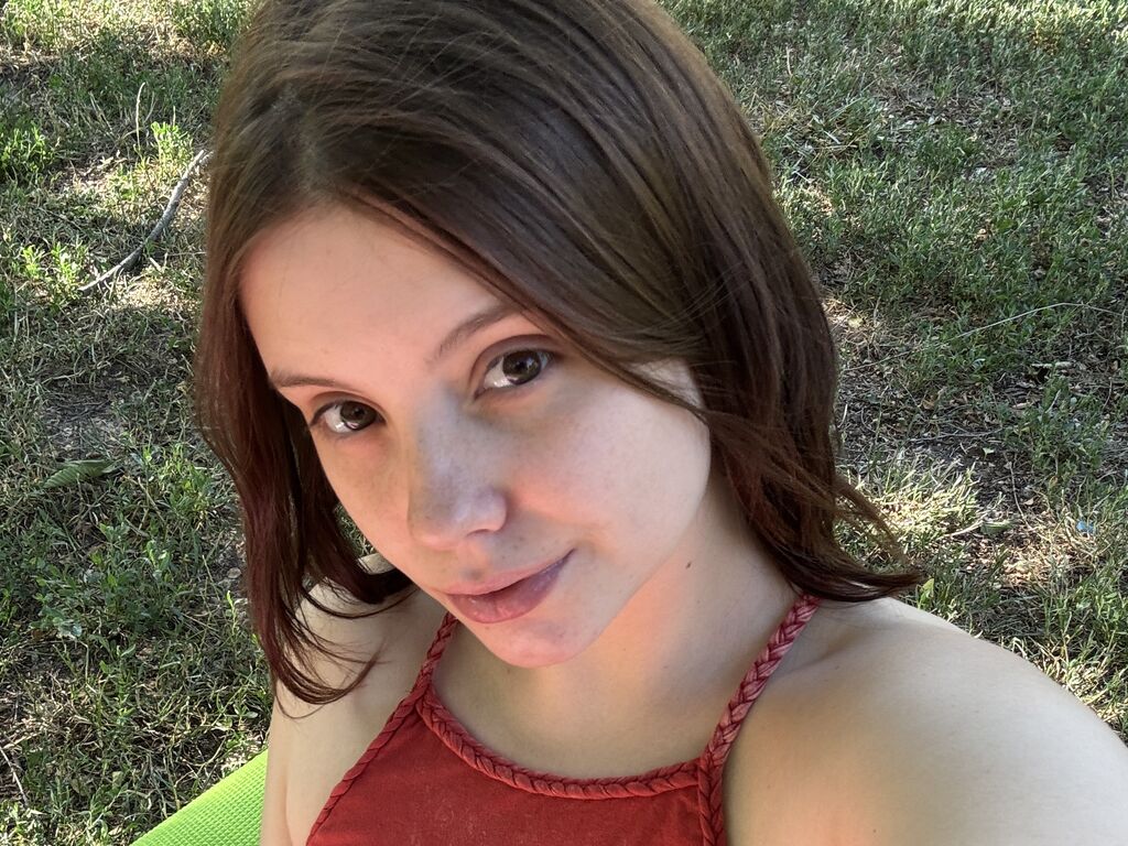 Perfil con Lollisoft - Imagen  n°1