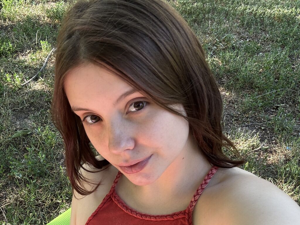 Perfil con Lollisoft - Imagen  n°1