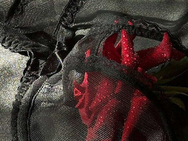 Milla24' profilo - Immagine n°1