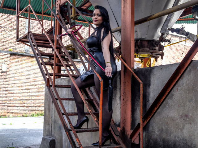 Profil de MaeveBorch - Photo n°15