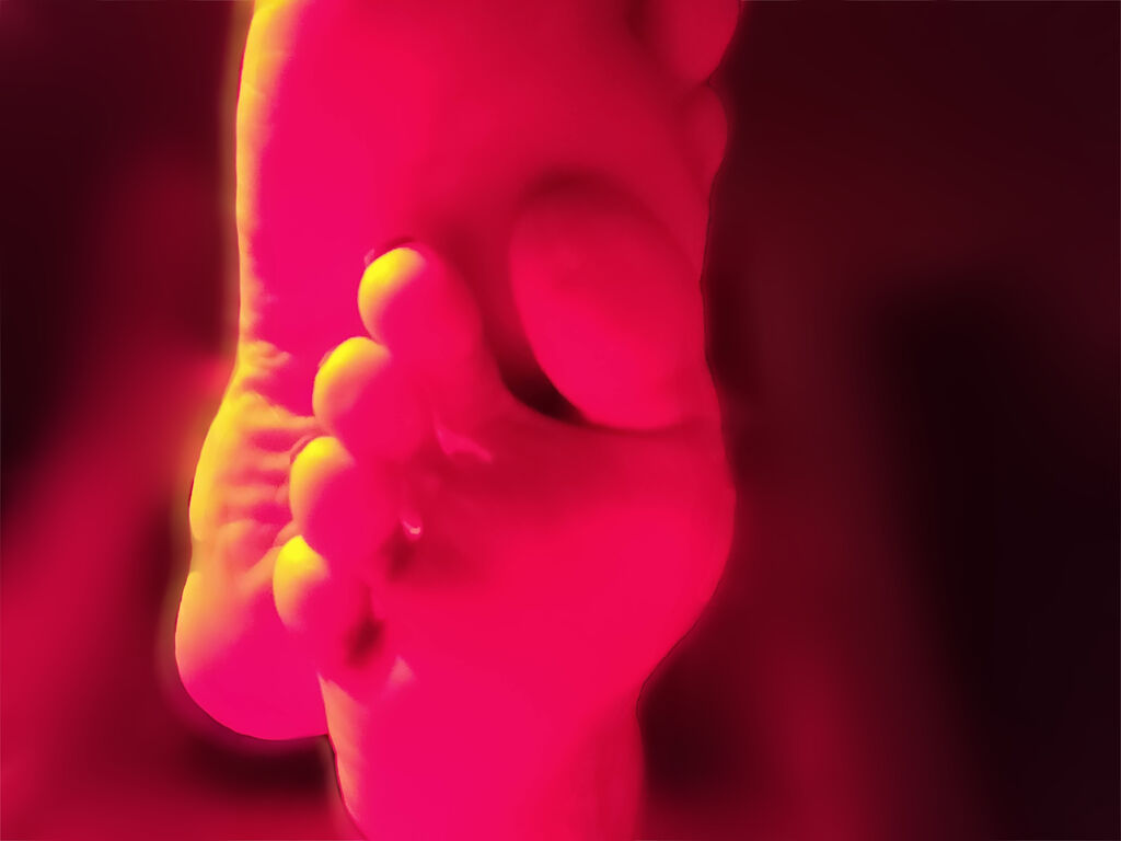 Maiafrost' profilo - Immagine n°1