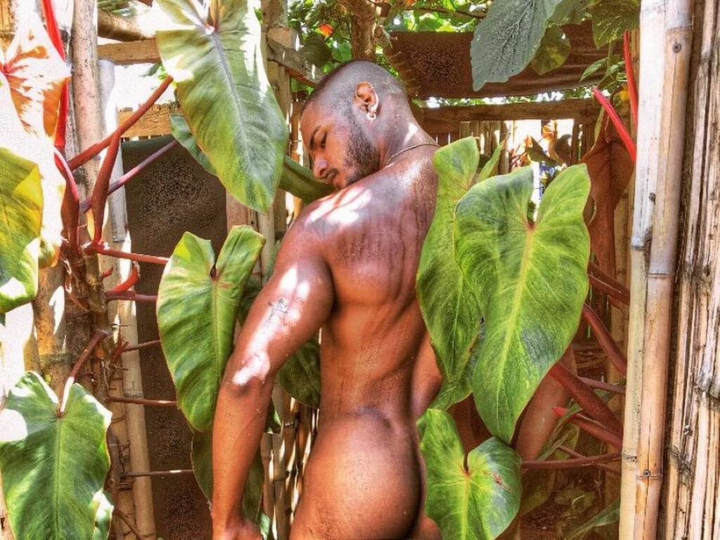Marcoviera's profile - Image n°1
