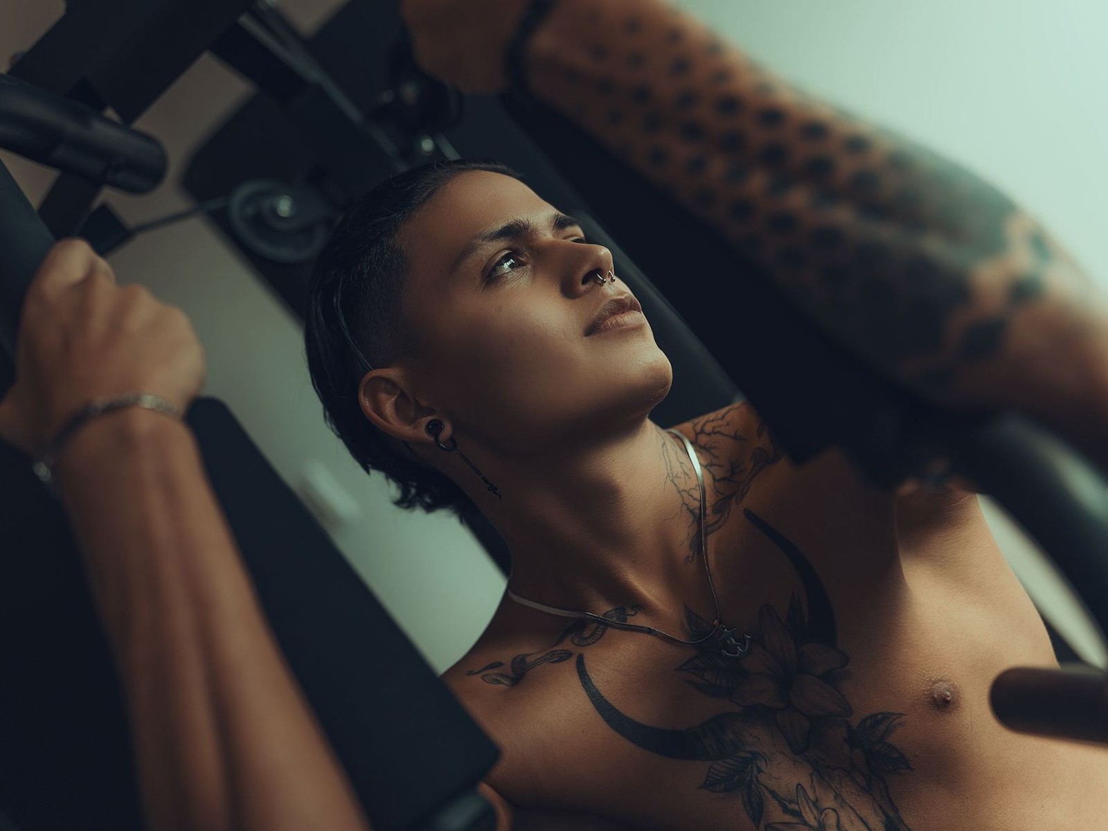 Maximilianogray's profile - Image n°1
