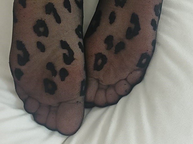 Profil de Mayabigtits - Photo n°3