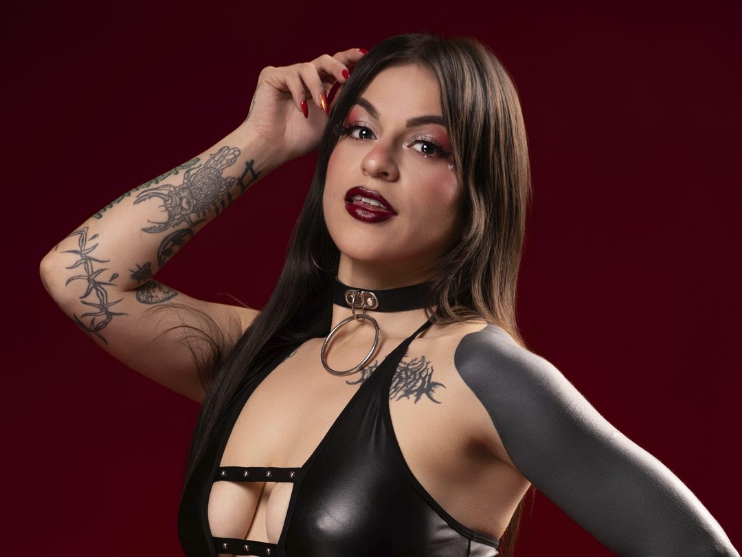 Profil de Megandraco - Photo n°1