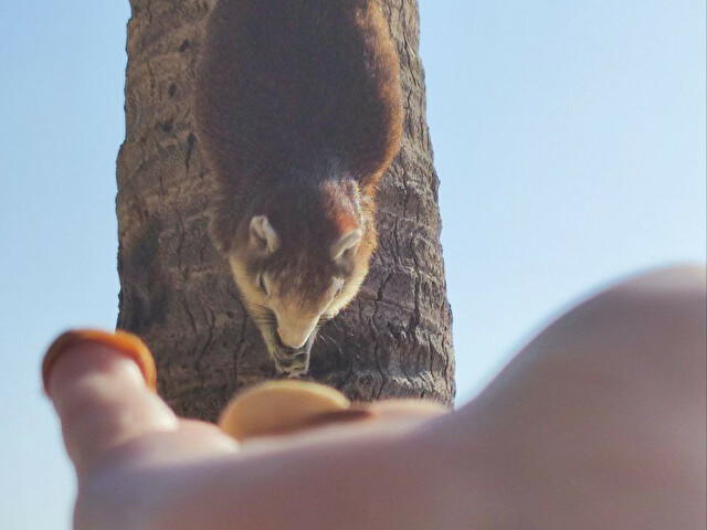 Melaniorange's profile - Image n°77