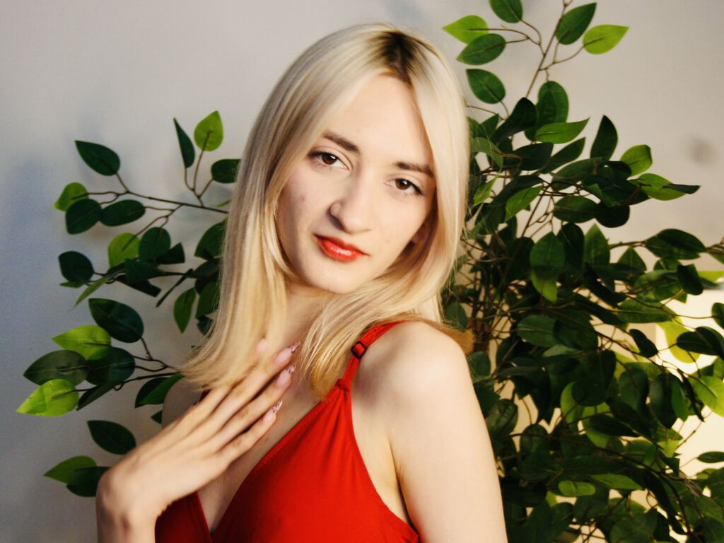 Merciabrimhall' profilo - Immagine n°1