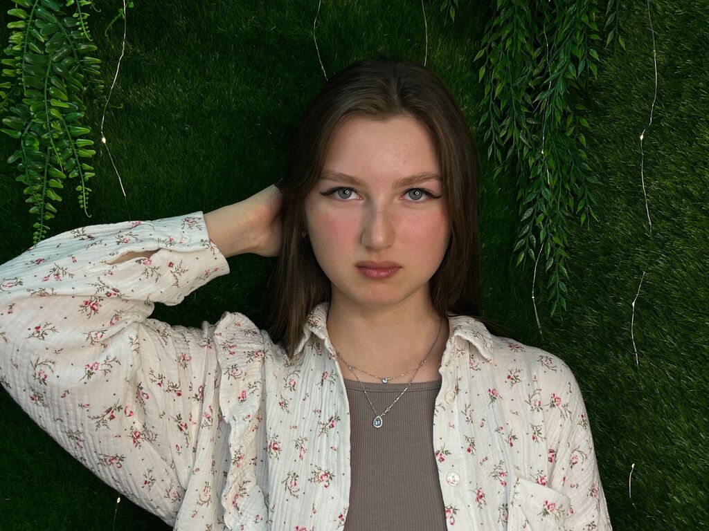 Merciadutch's profile - Image n°0