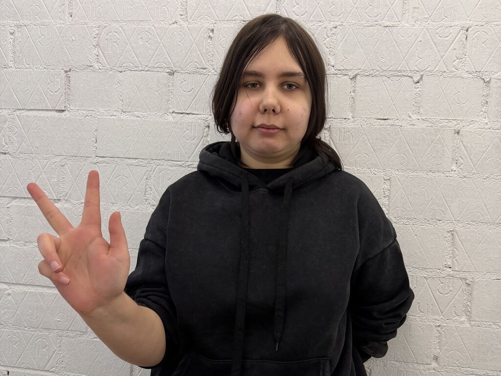 Perfil con Metabarager - Imagen  n°1