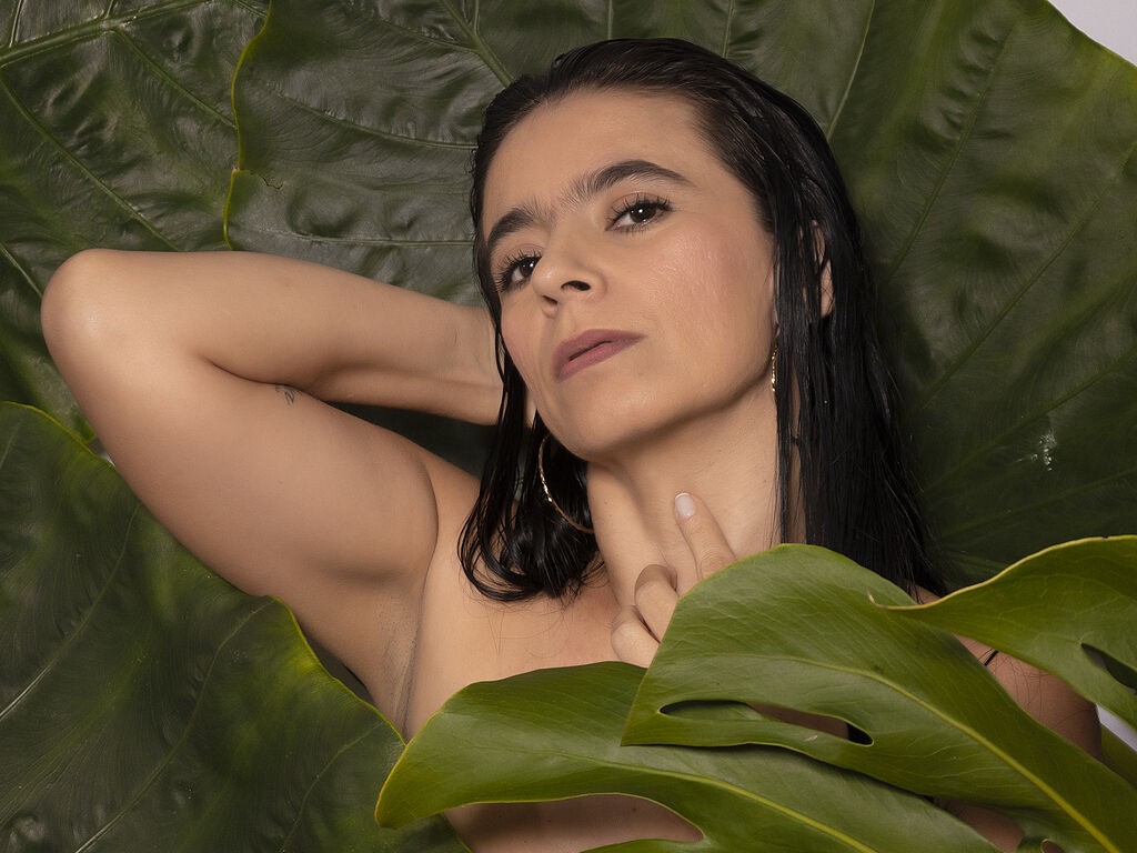 Miagears's profile - Image n°1