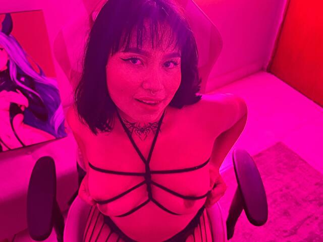 Profil de Miakaur - Photo n°10