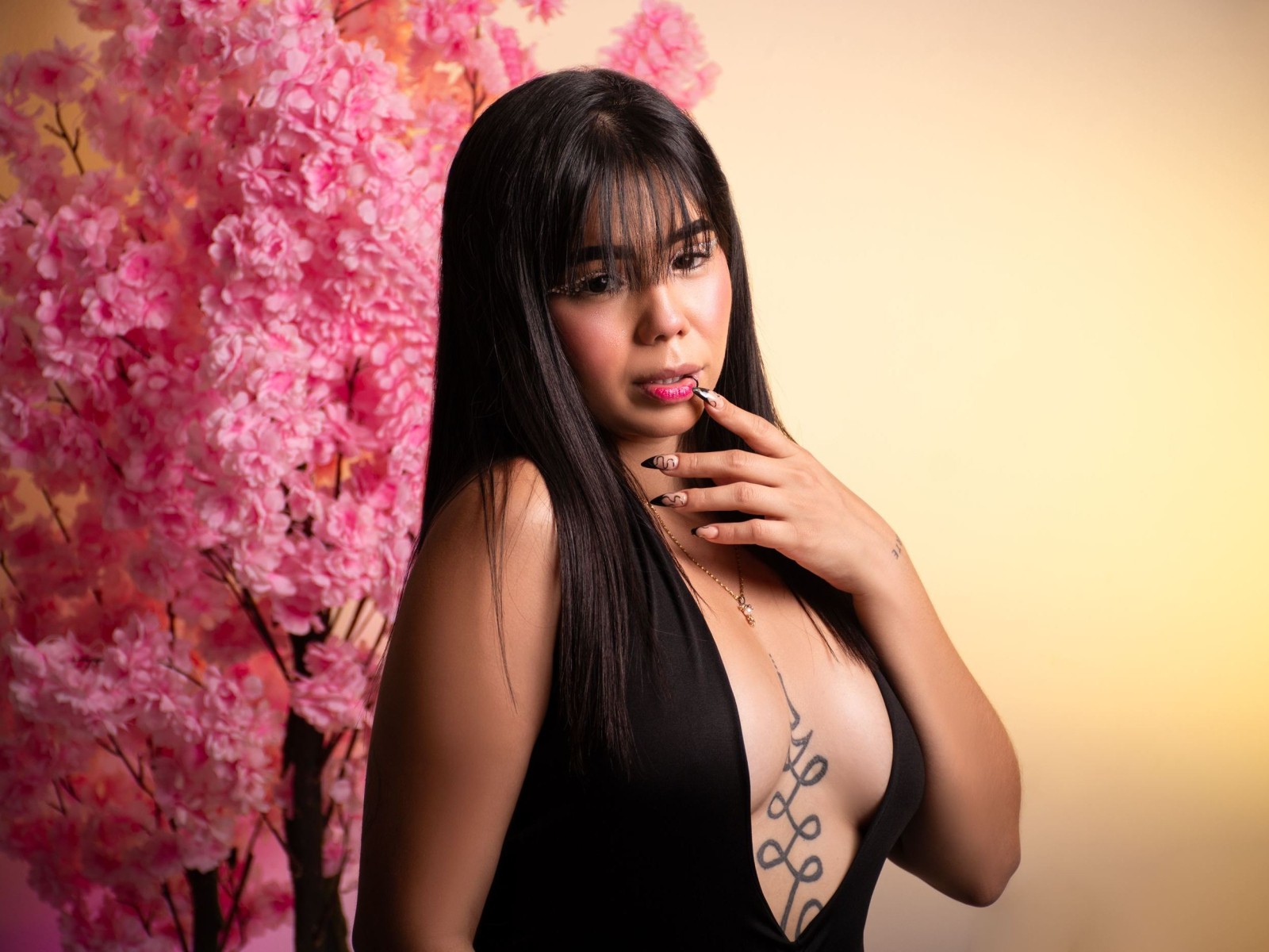 Miarosses79's profile - Image n°3