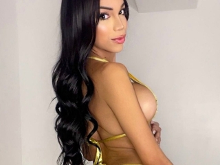 Profil de Michel_Suaerez