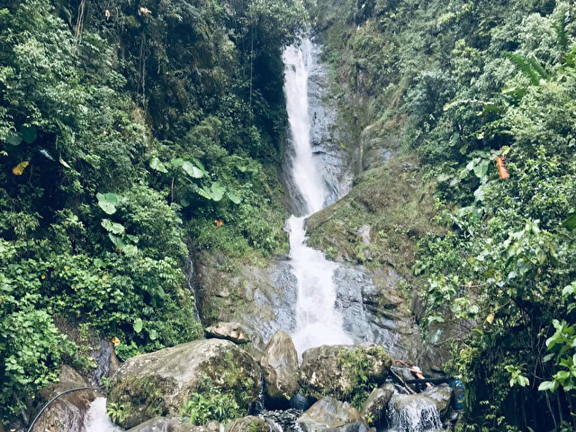 Profil de MikeDong - Photo n°12