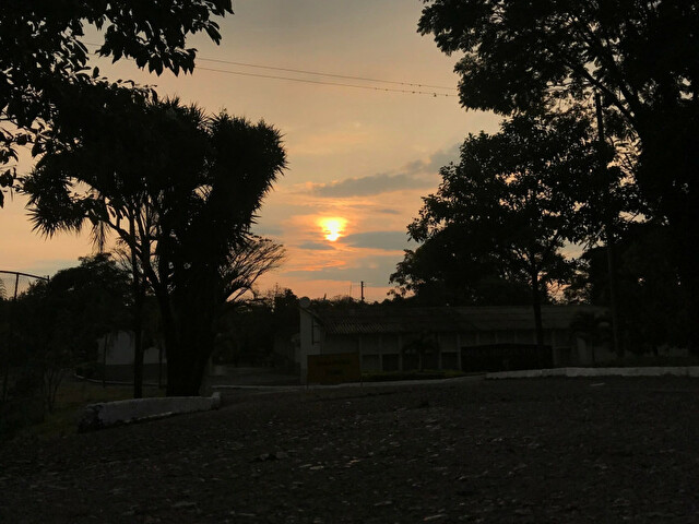 Profil de MikeDong - Photo n°11