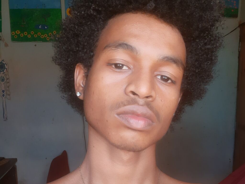 Mikeoliveira's profile - Image n°0