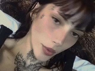 Profil de Milaaricci
