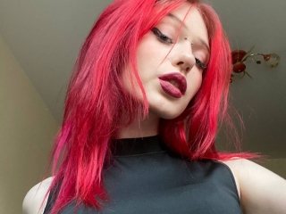 Profil de Mollycodle