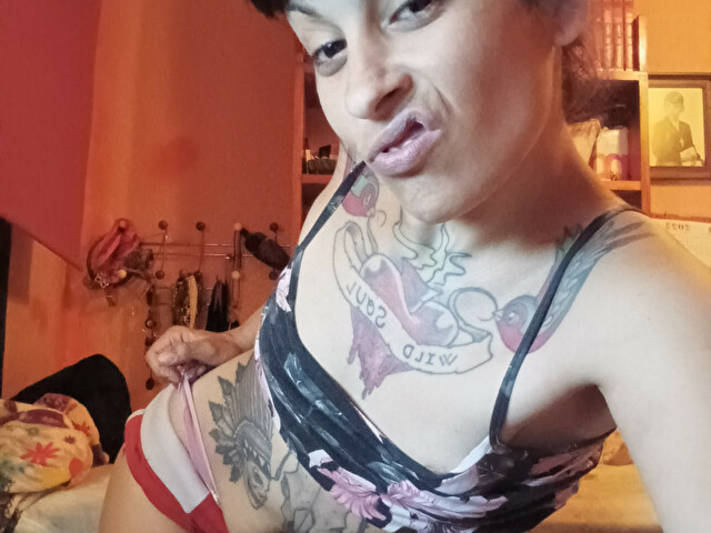 Profil de Morenawild - Photo n°9