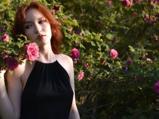 Profil de Myrtagulliver