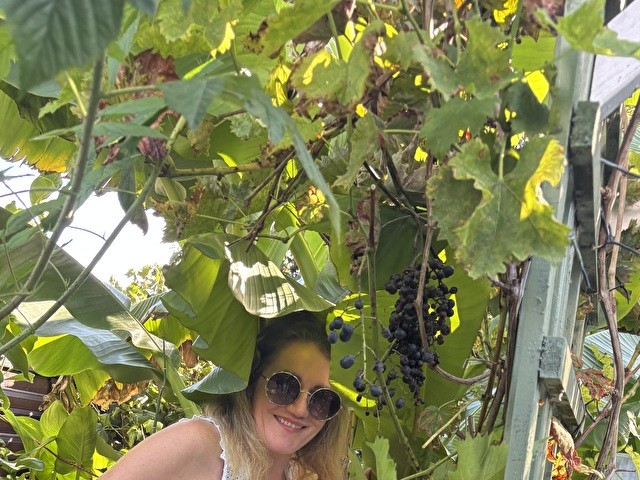 Perfil con Nickfinder - Imagen  n°4