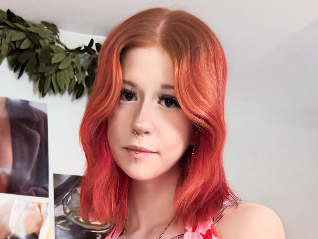 Perfil con Nicolegamp - Imagen  n°1