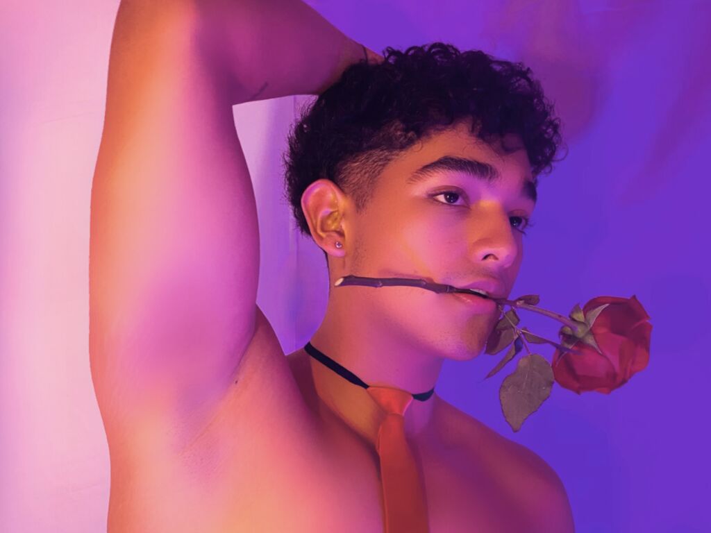 Noahkarterr's profile - Image n°0
