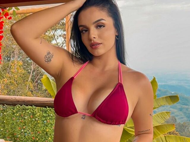 Perfil con Novadixon - Imagen  n°46