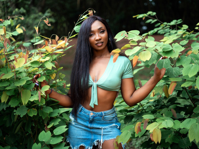 Perfil con Nyakimgold - Imagen  n°14