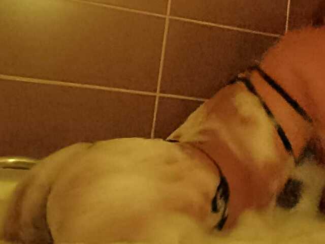 Amberh's profiel - Afbeelding n°0