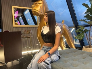 Profil de Palmerhoutson