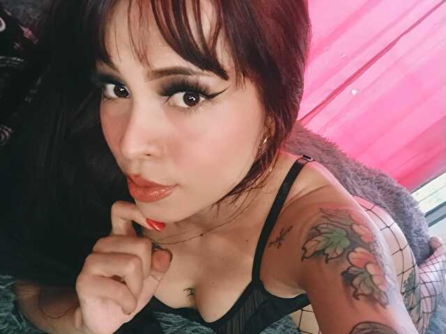 Perfil con PamPreiston - Imagen  n°69