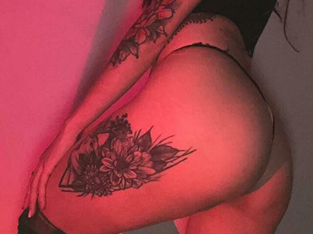 Perfil con PamPreiston - Imagen  n°15