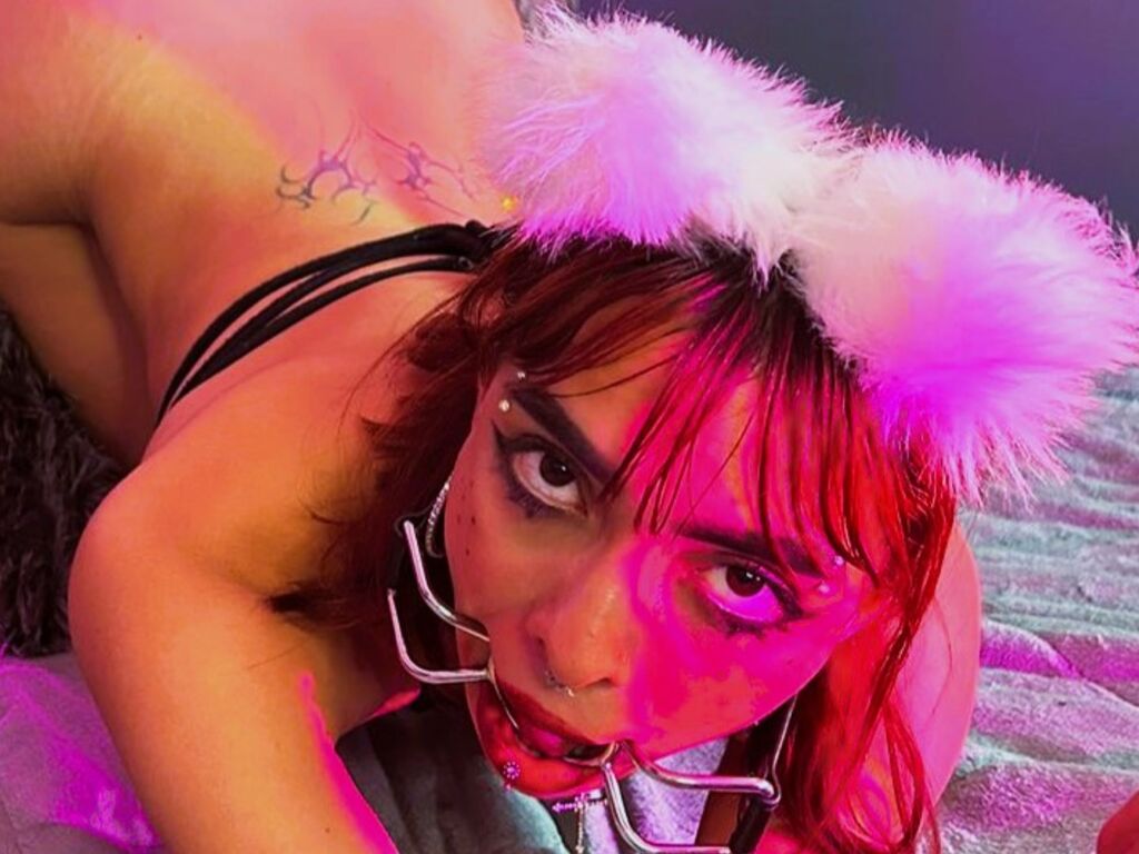 Pandorastoll's Profil - Bild n°1