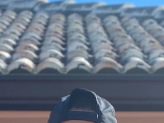 Papichulo59's profiel