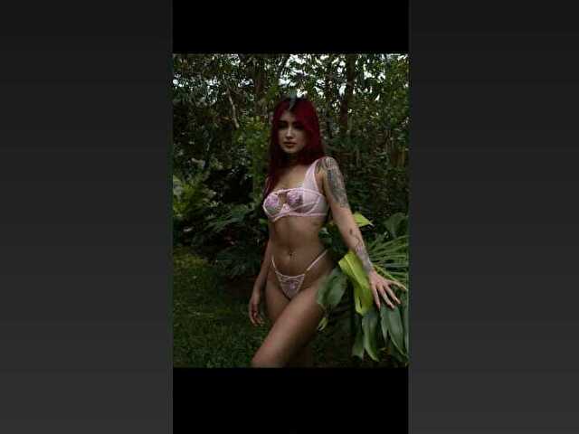 Perfil con Pariscoleman - Imagen  n°12