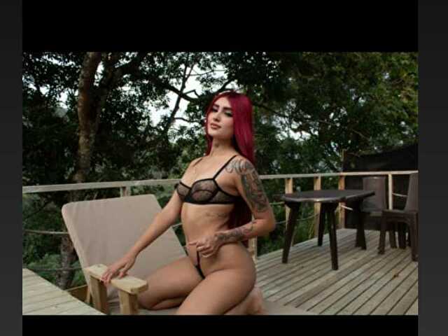 Perfil con Pariscoleman - Imagen  n°16