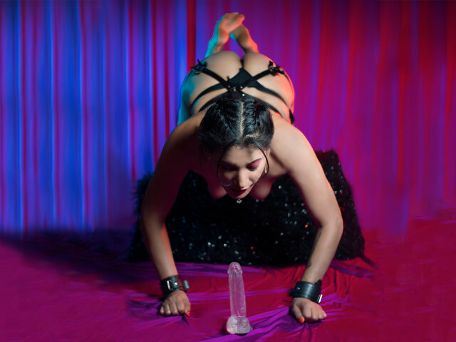 SlavePaula's profiel - Afbeelding n°83