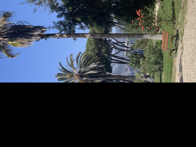 Perfil con Perfectgina - Imagen  n°11