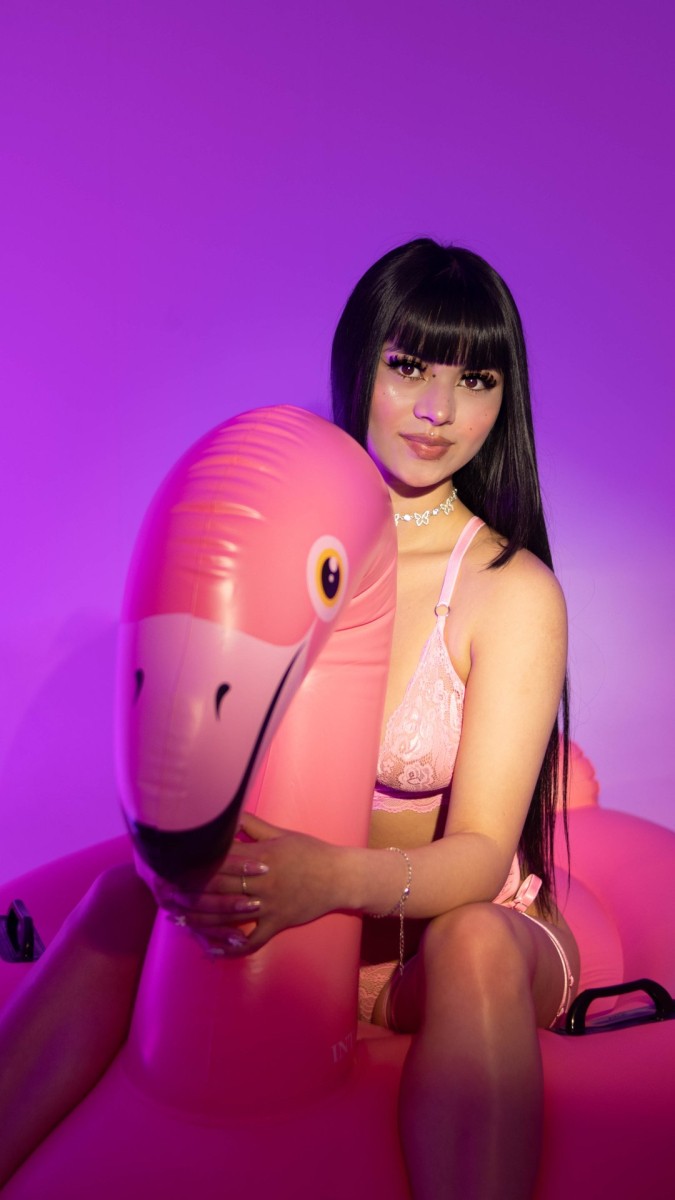 Perfil con Pinksuni - Imagen  n°1