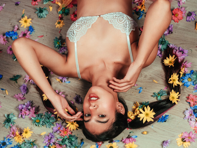 Perfil con PixieMiau - Imagen  n°23