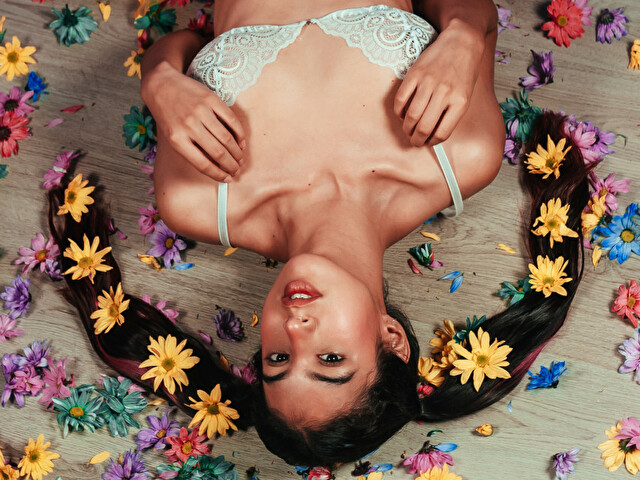 Perfil con PixieMiau - Imagen  n°22